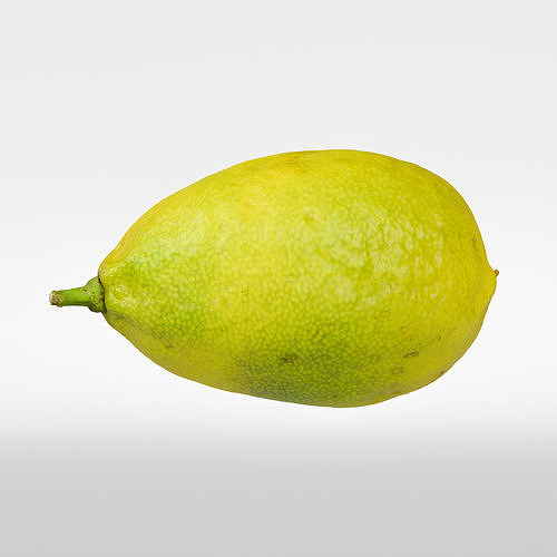 Limequat  3D model 6