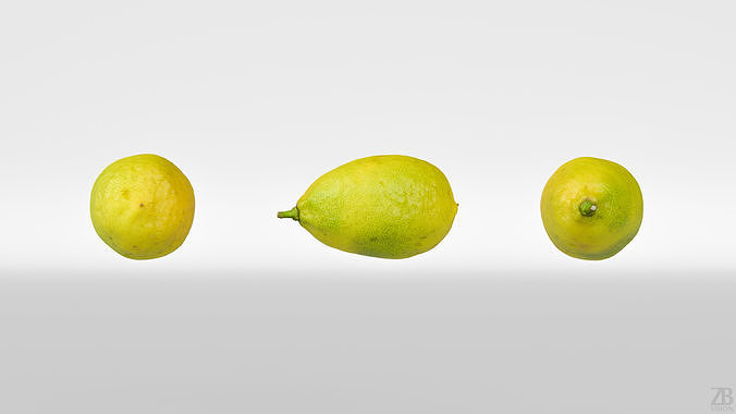 Limequat  3D model 5