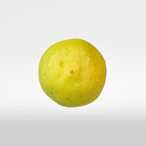Limequat  3D model 7