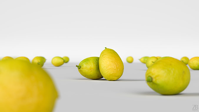 Limequat  3D model 2