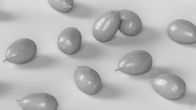 Limequat  3D model 4