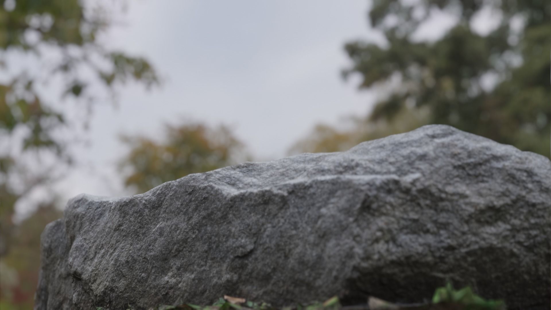 6 types of Rock in Moss Valley set 3D model_3