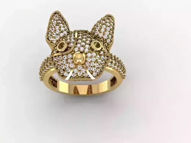 Dog Ring