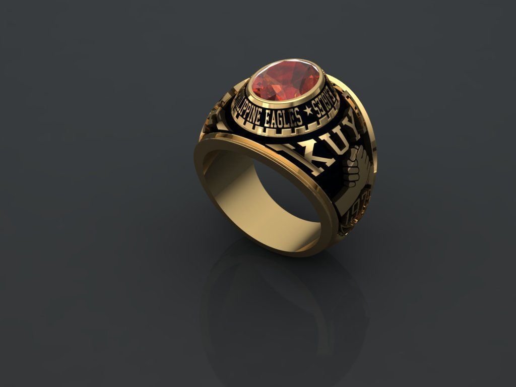 TFOE RING 3D 3D print model_1