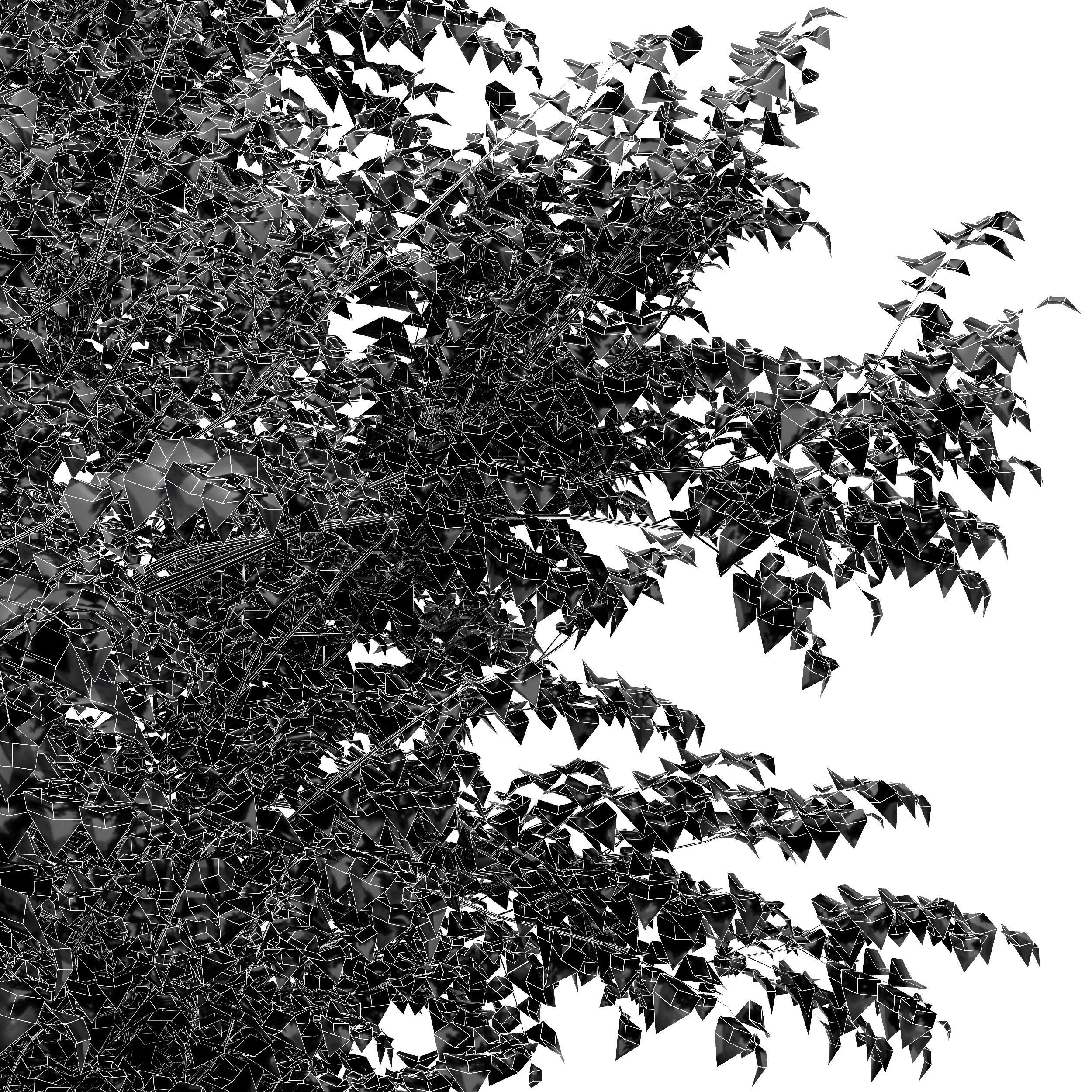 beautiful trees Sweet chestnut and European Beech 3D model_5