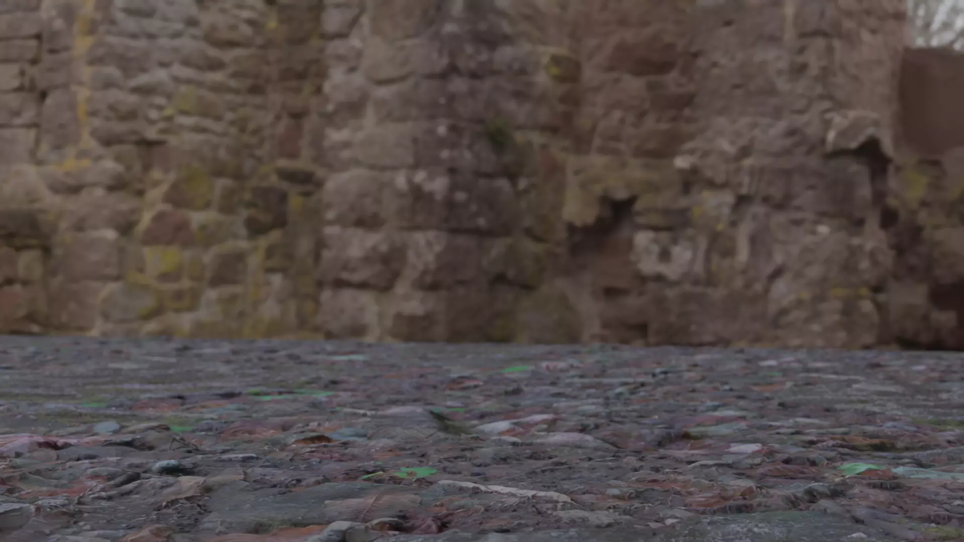 4 types of Surface of Stone Floor set  3D model_0