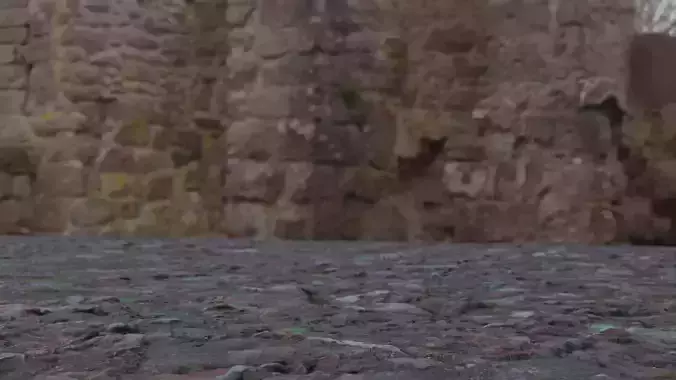 4 types of Surface of Stone Floor set 