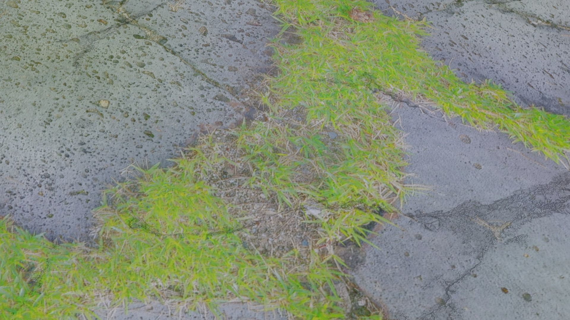 3 types of Ground Surface set 3D model_1