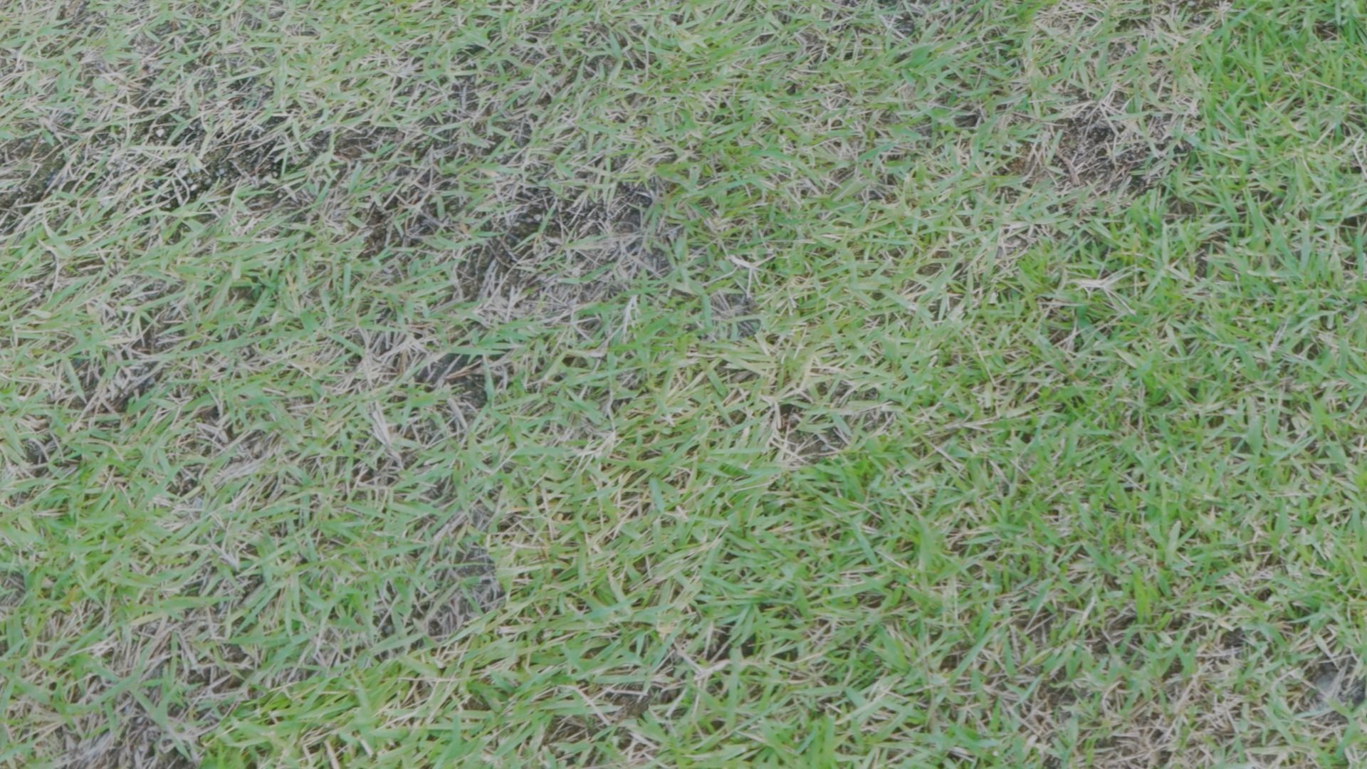 3 types of Ground Surface set 3D model_4