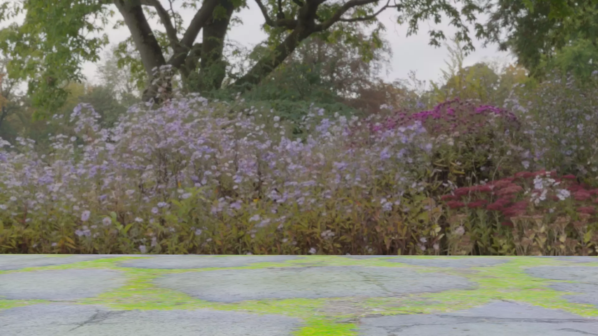 3 types of Ground Surface set 3D model_0