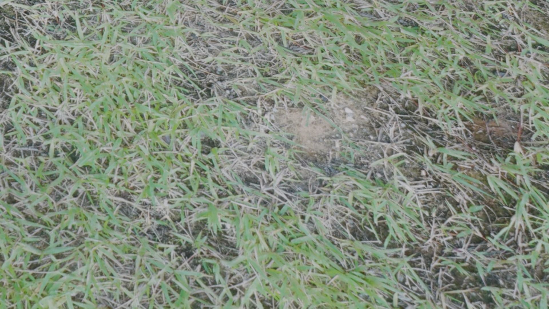 3 types of Ground Surface set 3D model_5