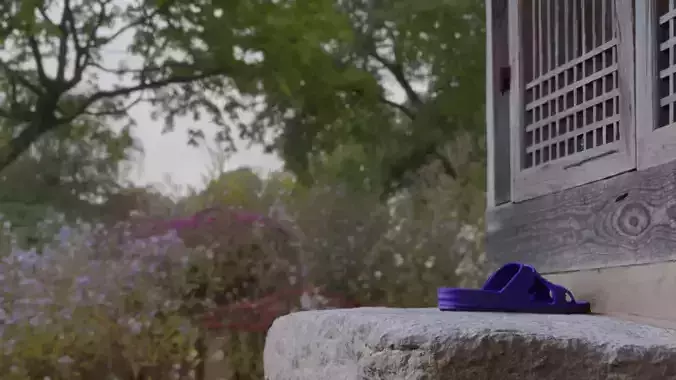 Korean Traditional House Door 3D model