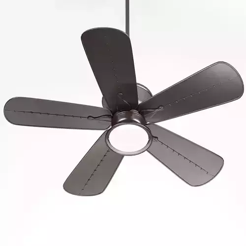 ceiling fan with light