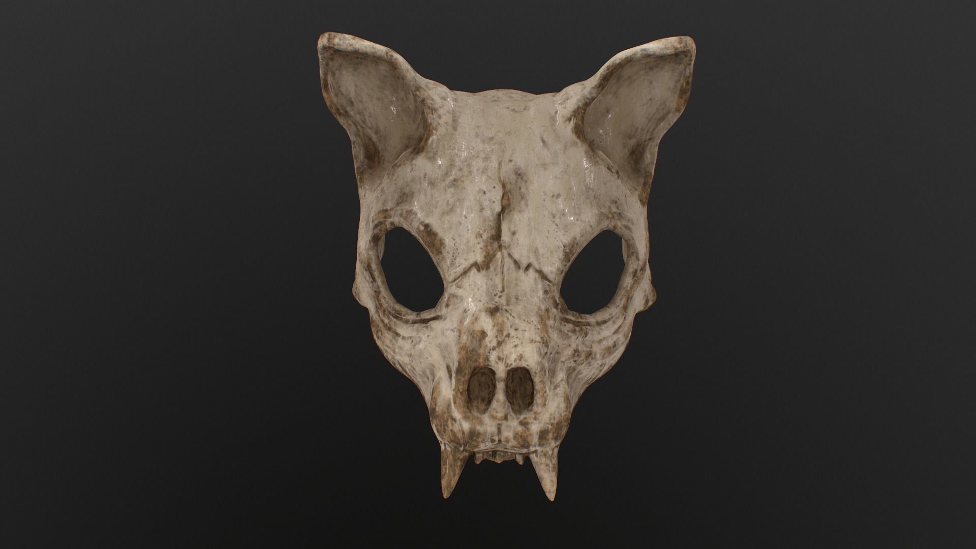 Cat Skull Mask 3D print model_35
