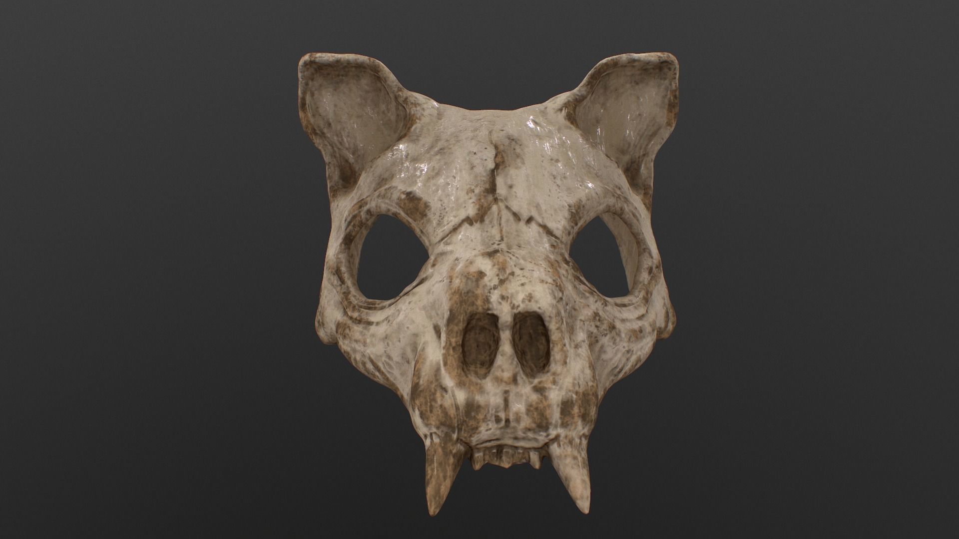Cat Skull Mask Low-poly 3D model_1