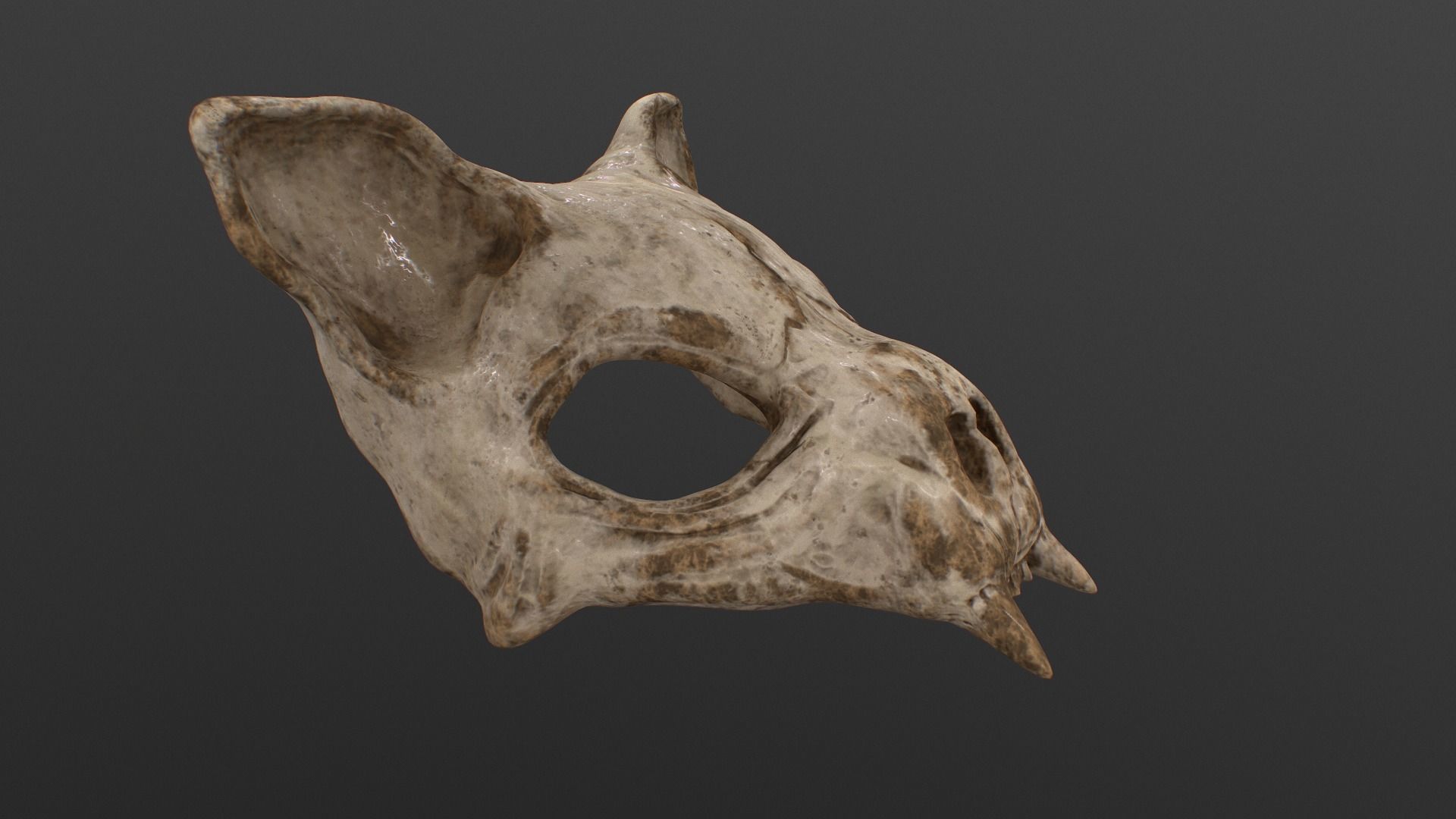Cat Skull Mask Low-poly 3D model_3