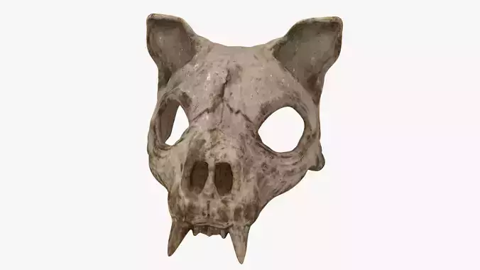 Cat Skull Mask Low-poly 3D model