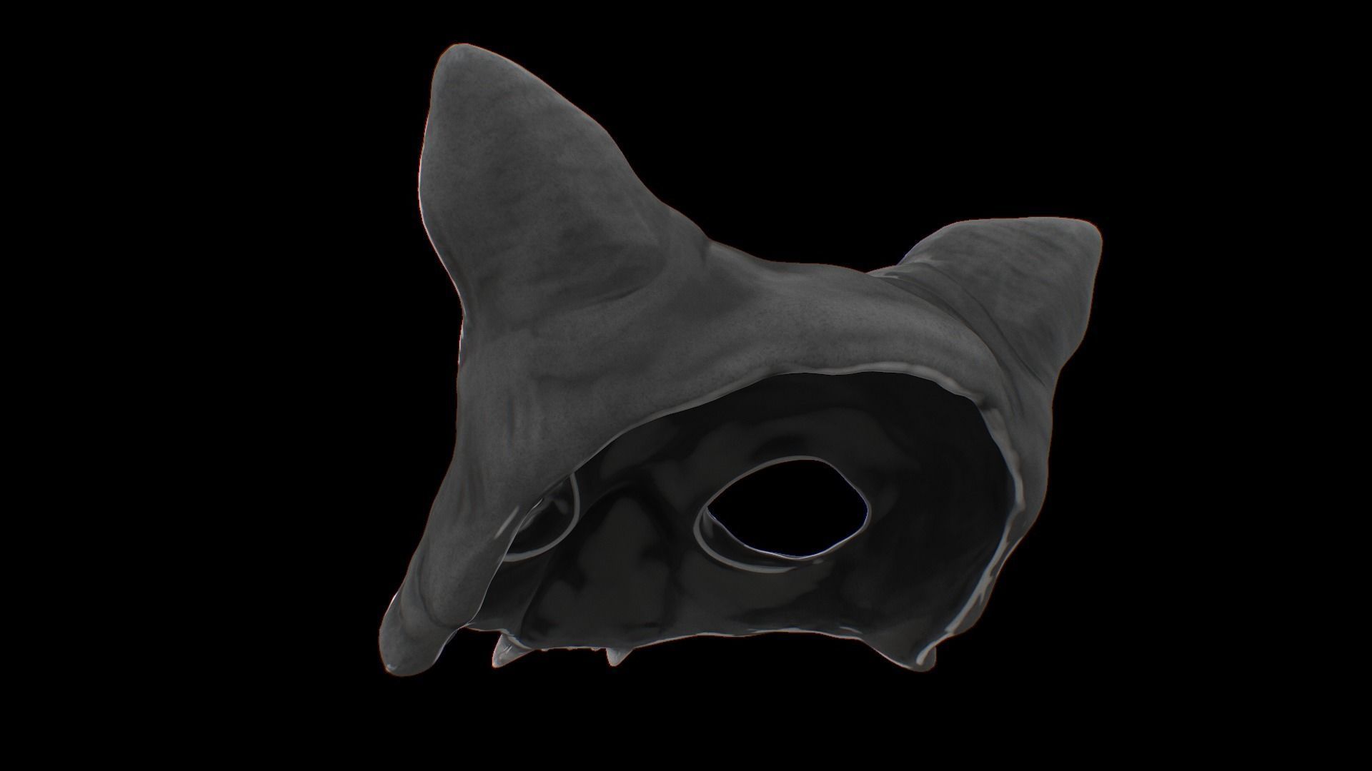 Cat Skull Mask Low-poly 3D model_24
