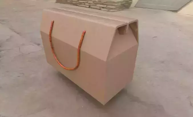 cardboard bag