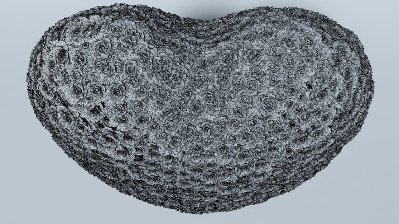 Valentines Day Rose Heart 3D model_9