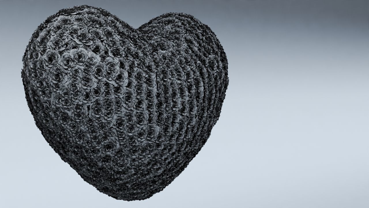 Valentines Day Rose Heart 3D model_1