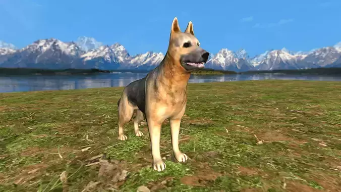 German Shepherd Dog  Animated Rigged 3d model 3D model