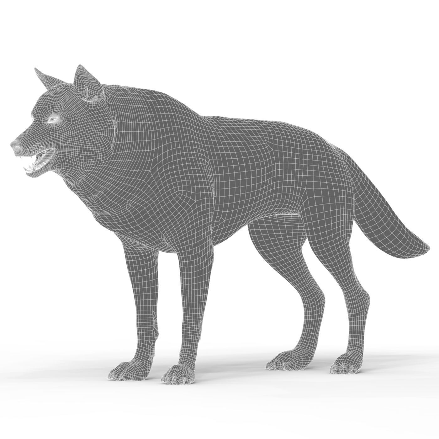 Red Wolf Low-poly 3D model_7
