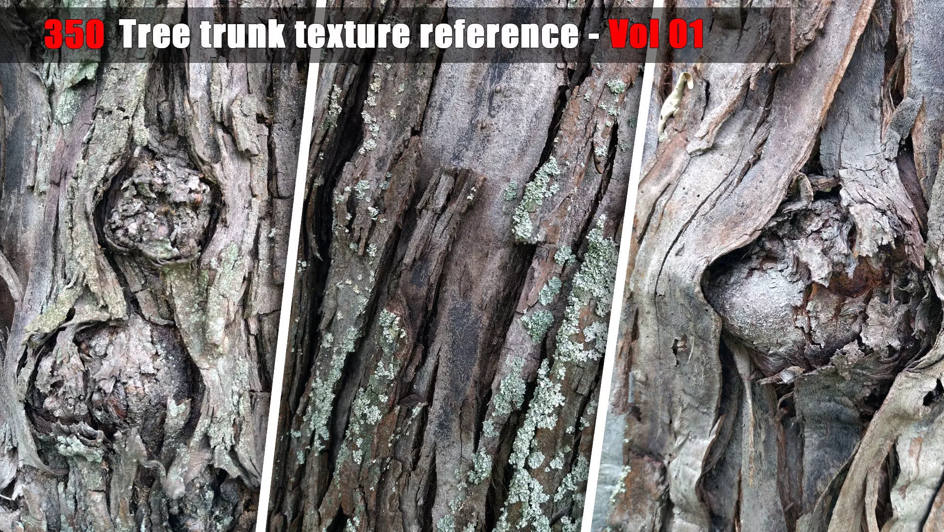 Tree trunk texture reference - Vol 01 3D model