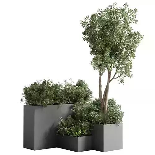 stand box plant collection outdoor plant  concrete dirt vase pot 3D model