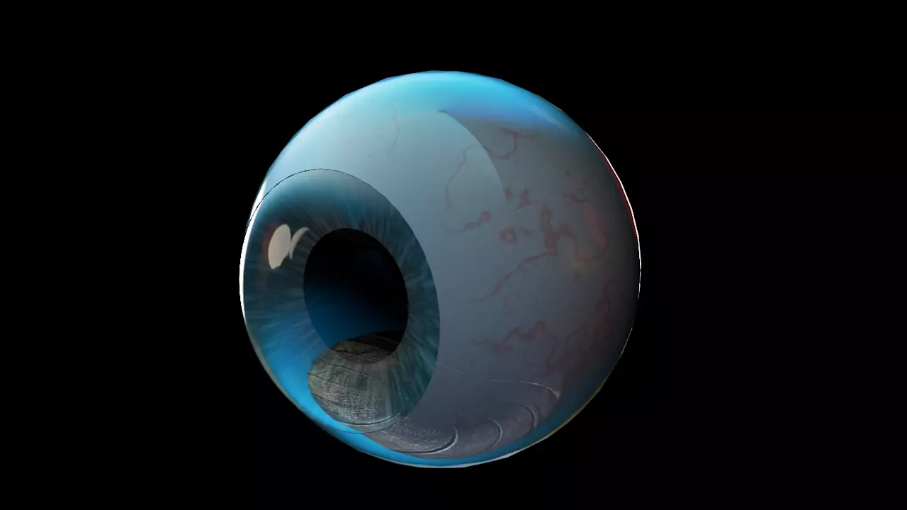 ojo realista c4d r14 Free 3D print model