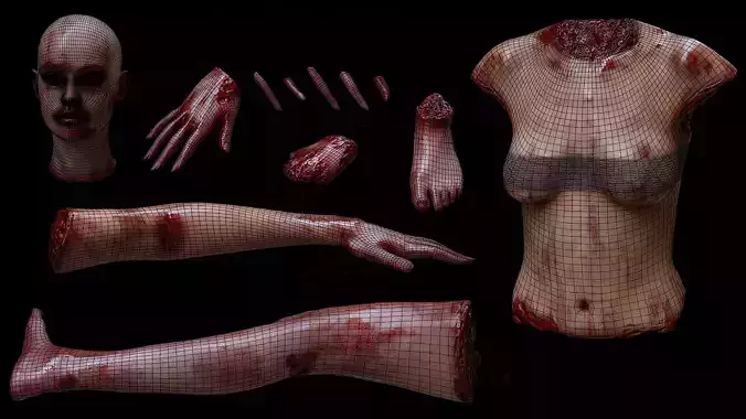 Female body parts collection Gore  Horror Props Low-poly 3D model
