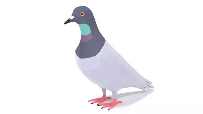 Low Poly Cartoon Pigeon