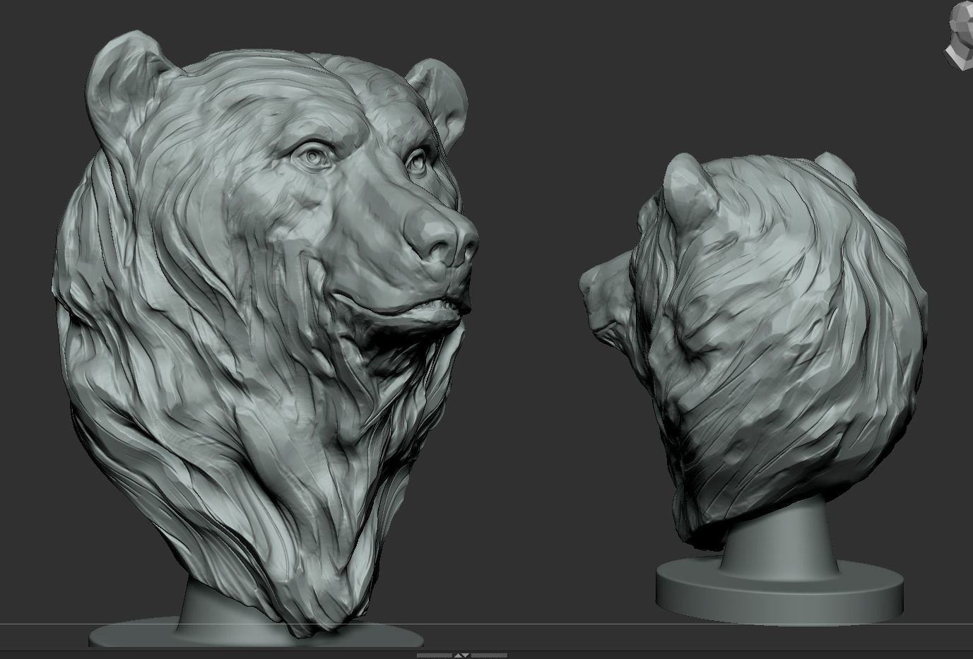 Bear Bust  3D print model_4