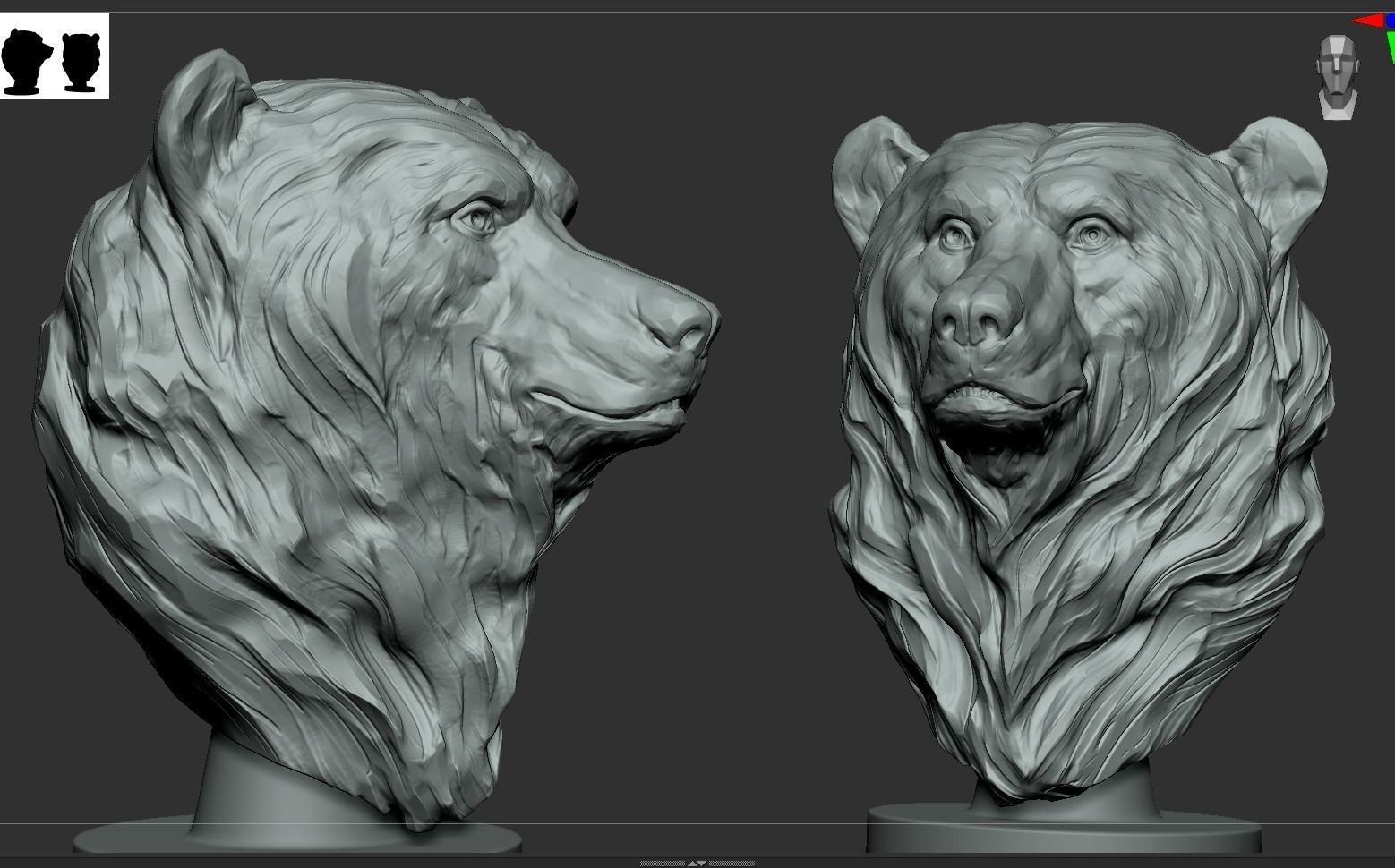 Bear Bust  3D print model_5