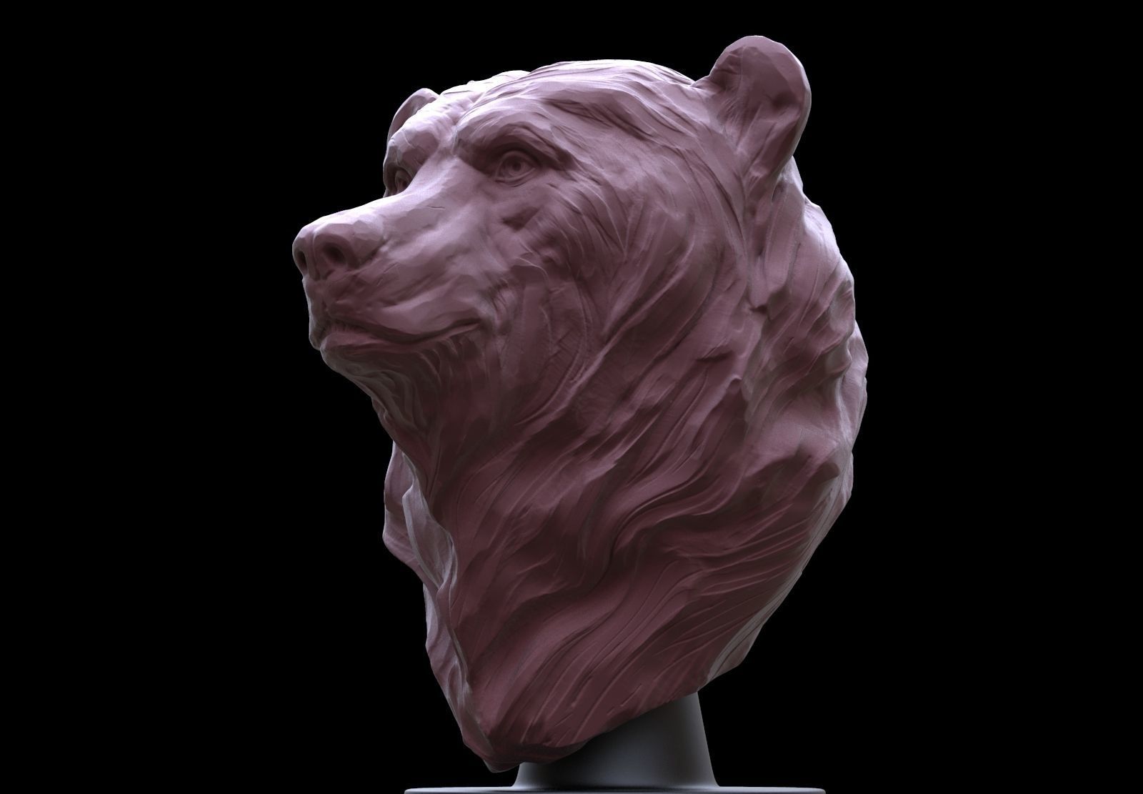 Bear Bust  3D print model_1