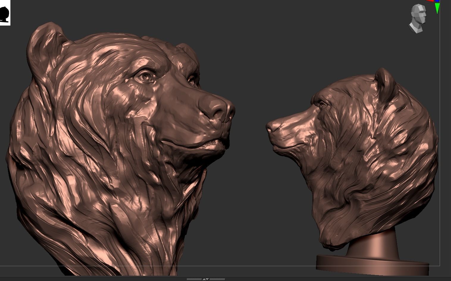 Bear Bust  3D print model_6