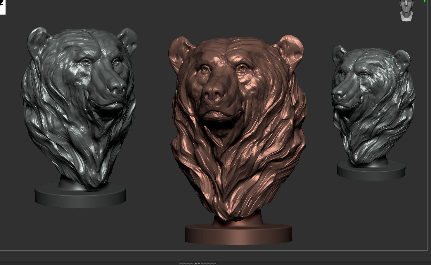 Bear Bust  3D print model_9