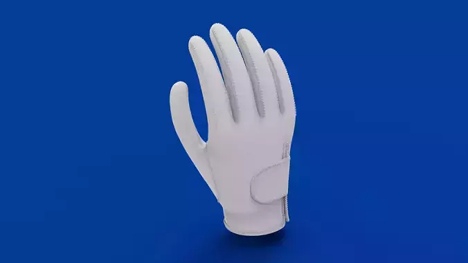 Golf Glove