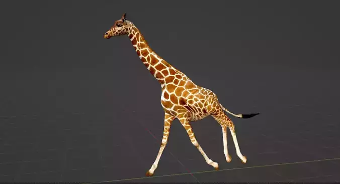 Animated Giraffe