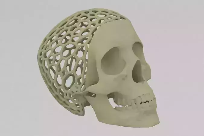 Trevorskull human skull with mesh pattern