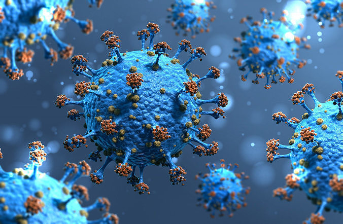 Coronavirus1-Covid-19 coronavirus 3D model