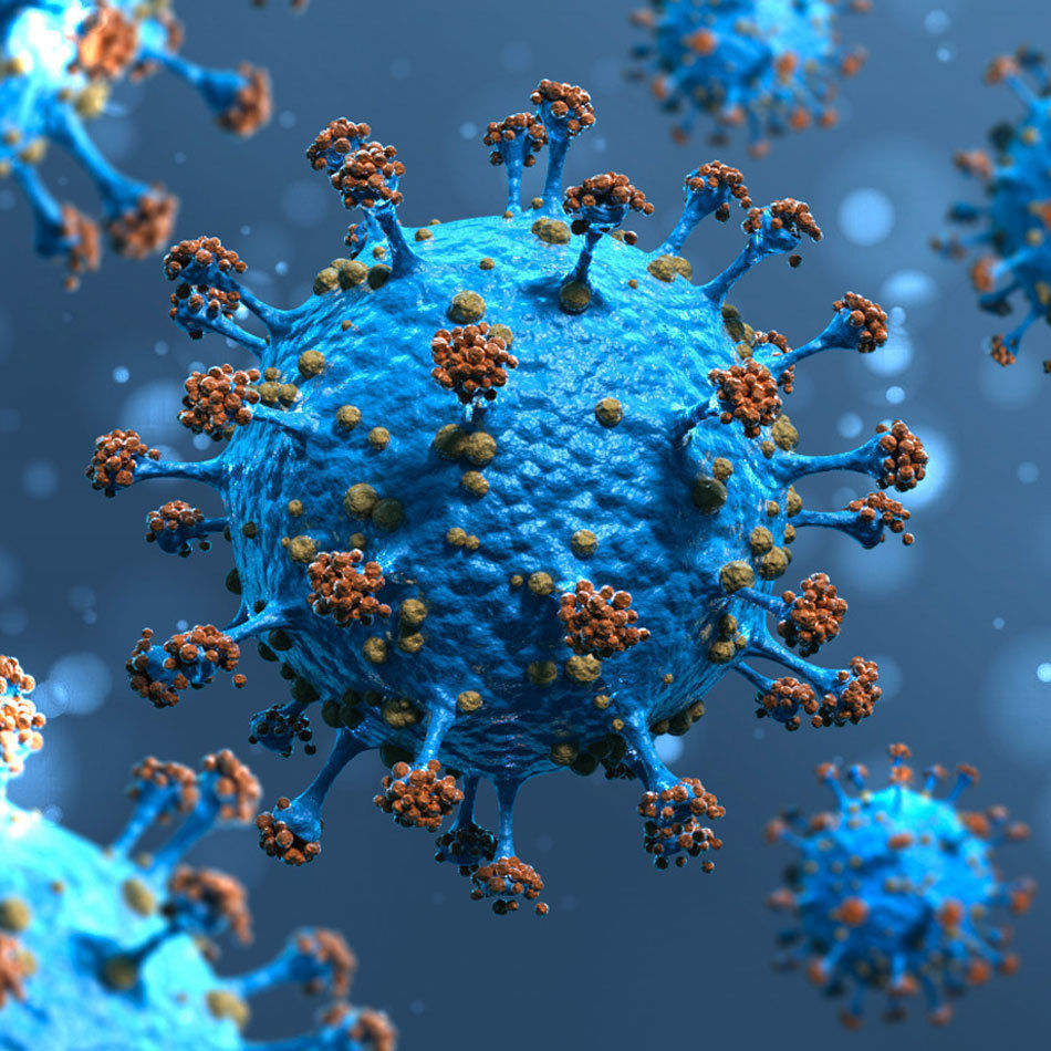 Coronavirus1-Covid-19 coronavirus 3D model_4
