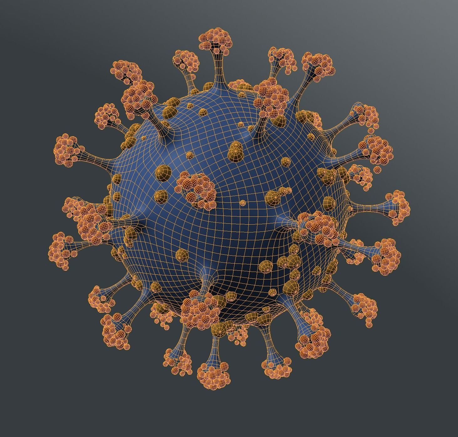 Coronavirus1-Covid-19 coronavirus 3D model_3