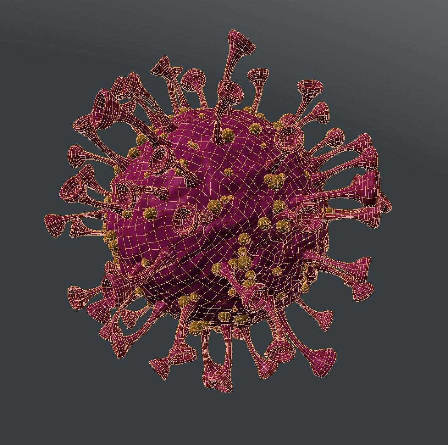 Coronavirus-Covid-19 coronavirus 3D model_3