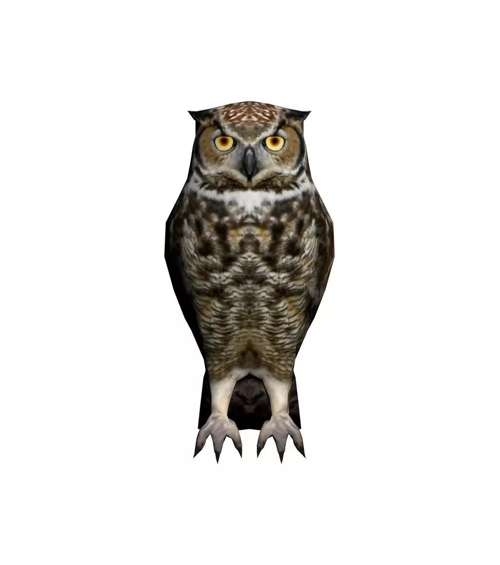 Owl model great horned 3D model