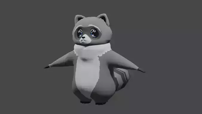 3D Character Racoon 