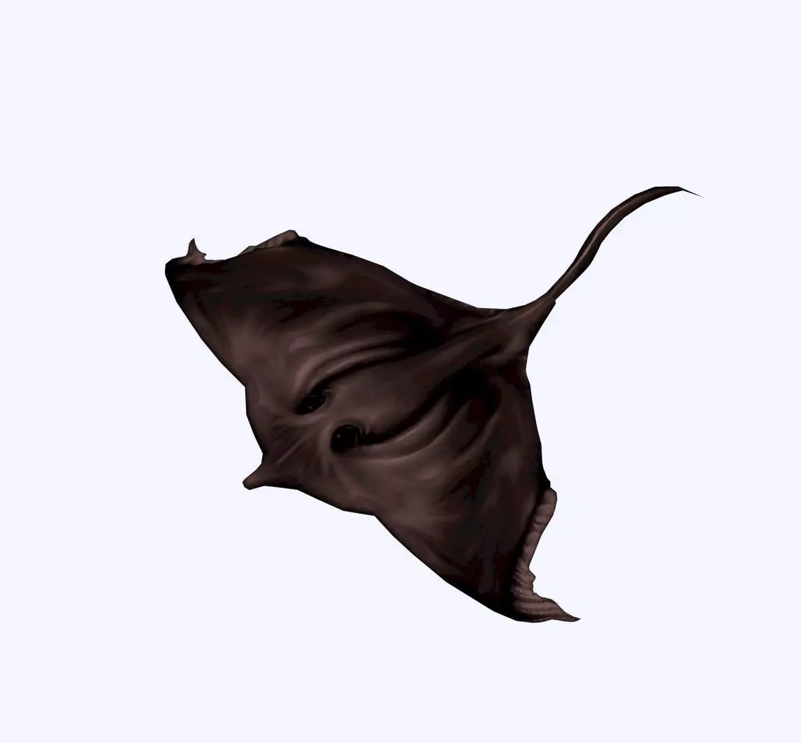 Stingray Low-poly 3D model