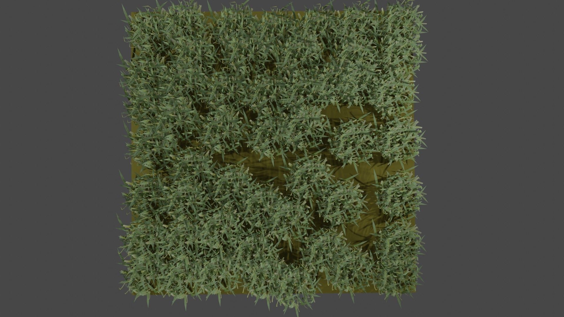 Realistic Grass model 3D model_3