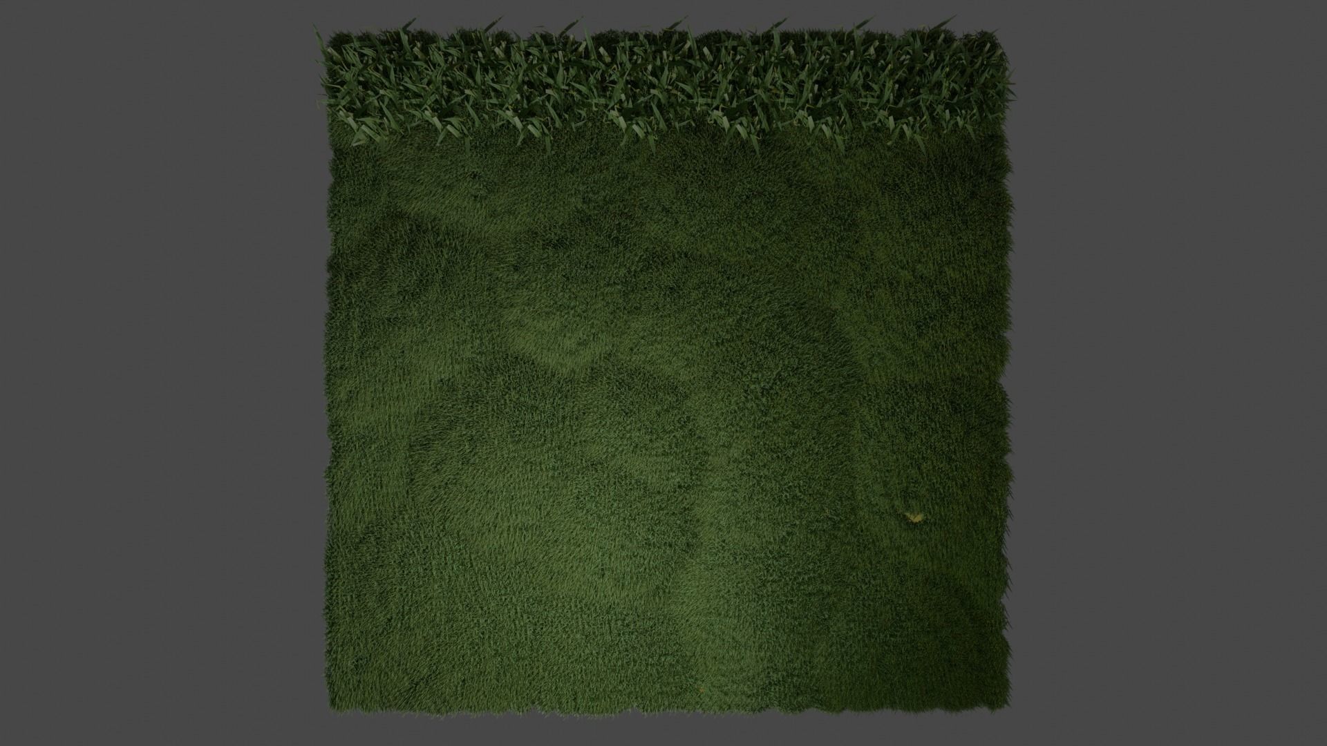 Realistic Grass model 3D model_1