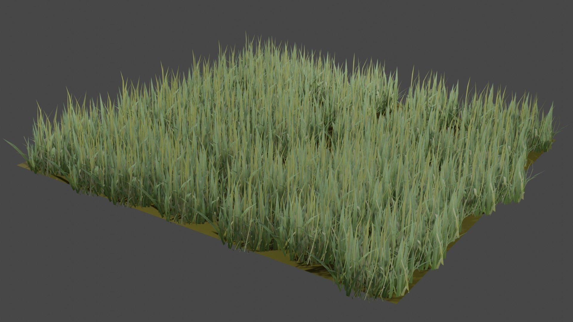 Realistic Grass model 3D model_2